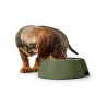 Ciotola per cani Hunter Verde 350 ml
