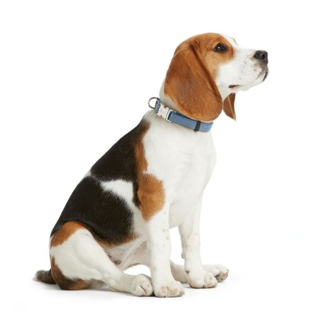 Collare per Cani Hunter VARIO BASIC Azzurro M 30-45 cm