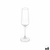 Calice da champagne Vivalto REJ6323/BHZ6 Trasparente Vetro 250 ml (6 Unità)
