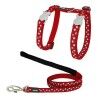 Pettorina per gatti Red Dingo Style Rosso Stella Bianco Cinghia