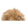 Canna per Gatti Gloria Rogers Pompon (12 cm)
