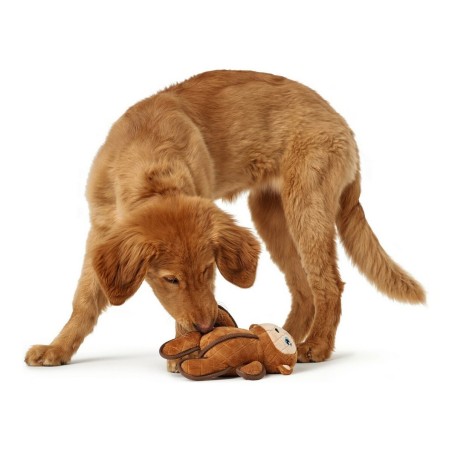 Giocattoli per cani Hunter Togh Toys Marrone 25 cm Scimmia