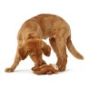 Giocattoli per cani Hunter Togh Toys Marrone 25 cm Scimmia