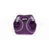 Imbracatura per Cani Gloria Trek Star 24-26 cm 28-28,6 cm Viola XXS