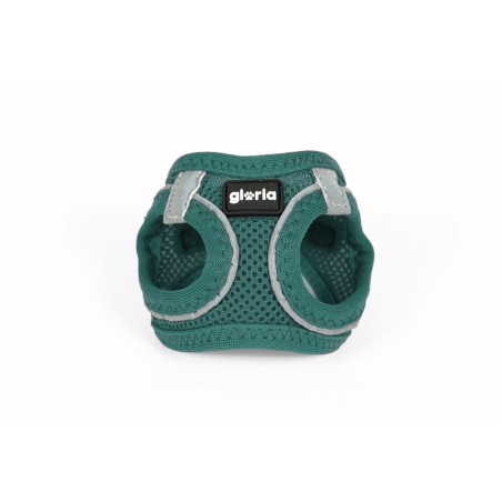 Imbracatura per Cani Gloria Trek Star 24-26 cm 28-28,6 cm Turchese XXS