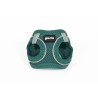 Imbracatura per Cani Gloria Trek Star 24-26 cm 28-28,6 cm Turchese XXS