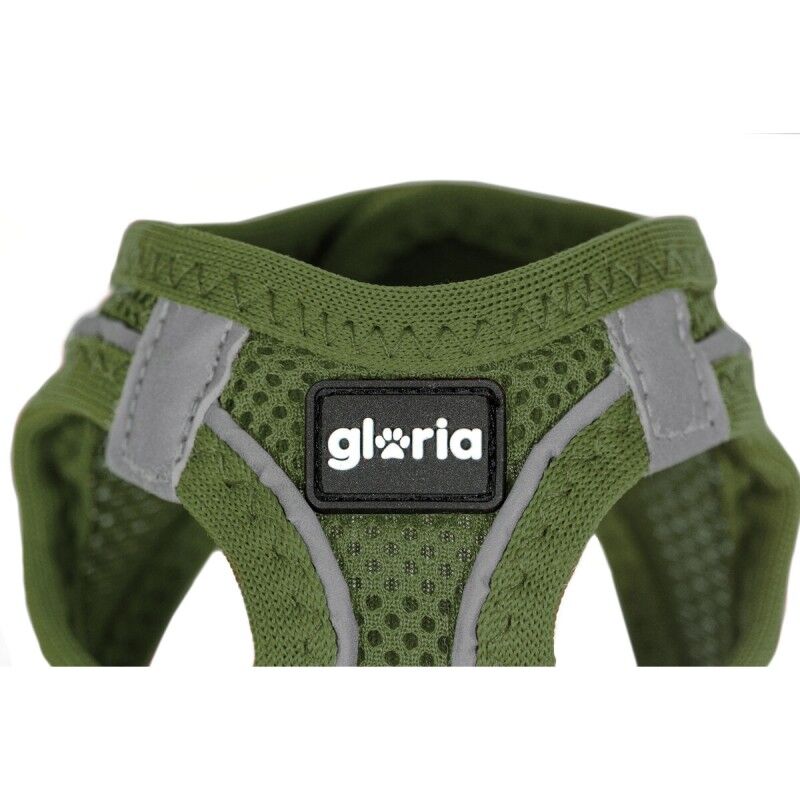 Imbracatura per Cani Gloria 31-34,6 cm Verde XS 27-28 cm Imbracatura per Cani Gloria 31-34,6 cm Verde XS 27-28 cm