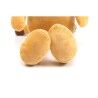 Peluche per cani Gloria Soha Marrone Poliestere polipropilene