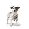 Imbracatura per Cani Hunter DIVO UP Beige S/M