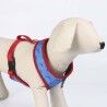 Imbracatura per Cani DC Pets