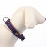 Collare per Cani DC Pets