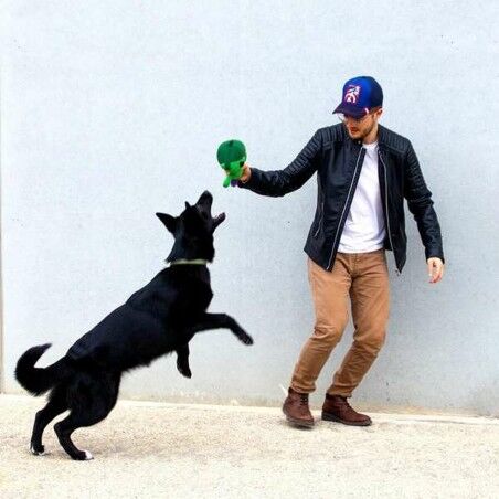 Giocattoli per cani The Avengers