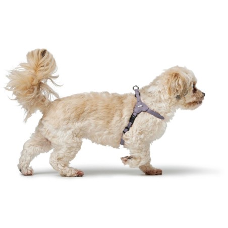 Imbracatura per Cani Hunter SOHO MINI Lilla XS