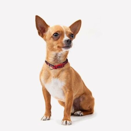 Collare per Cani Minnie Mouse Rosso XS/S