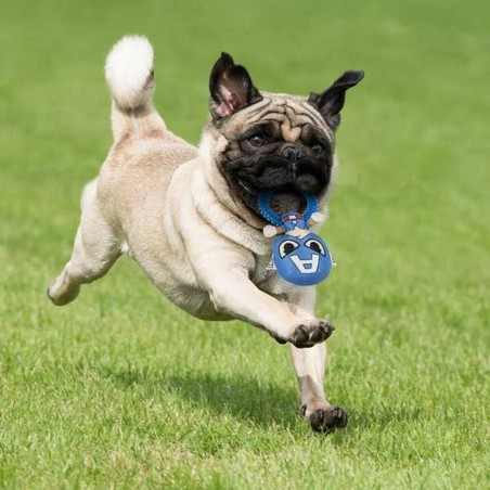 Giocattoli per cani The Avengers