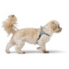 Imbracatura per Cani Hunter SOHO MINI Azzurro XS/S