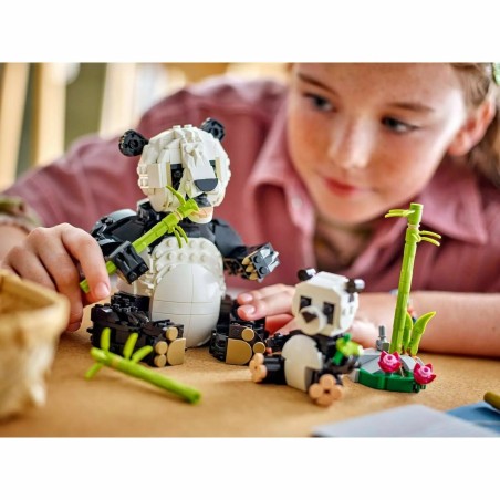 Set di Costruzioni Lego