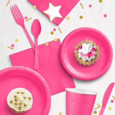 Set di piatti Algon Fucsia 20 cm 10 Pezzi (24 Unità)