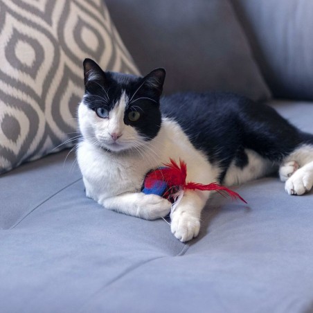 Giocattolo per gatti Spider-Man