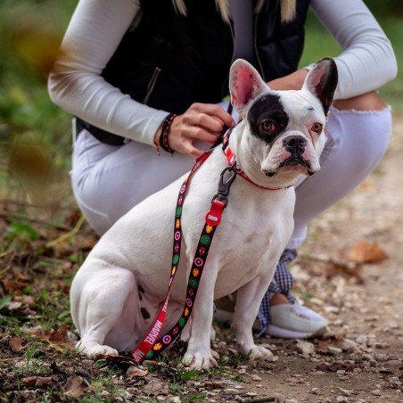 Guinzaglio per Cani Marvel