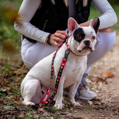 Guinzaglio per Cani Marvel