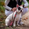 Guinzaglio per Cani Marvel