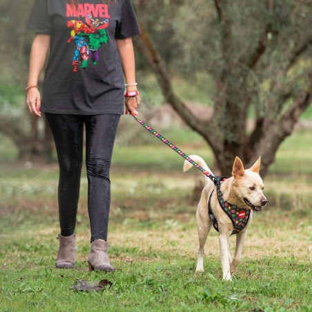 Guinzaglio per Cani Marvel