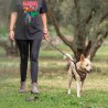 Guinzaglio per Cani Marvel