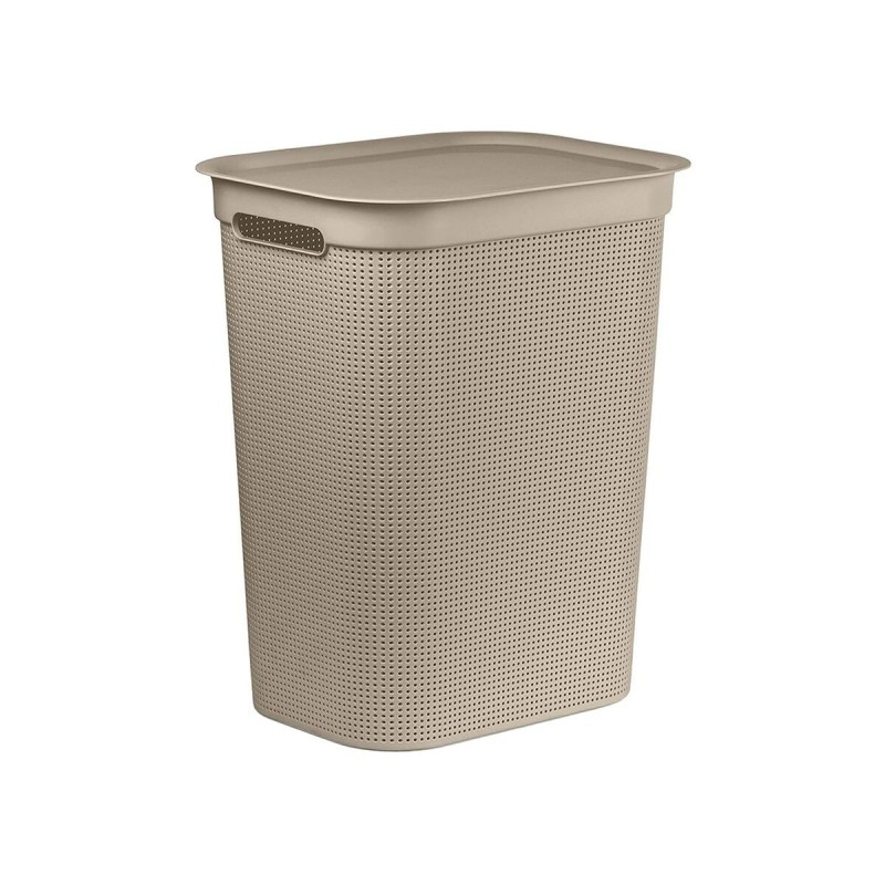 Ciotola per gatti Rotho 1023507422 Plastica Ciotola per gatti Rotho 1023507422 Plastica
