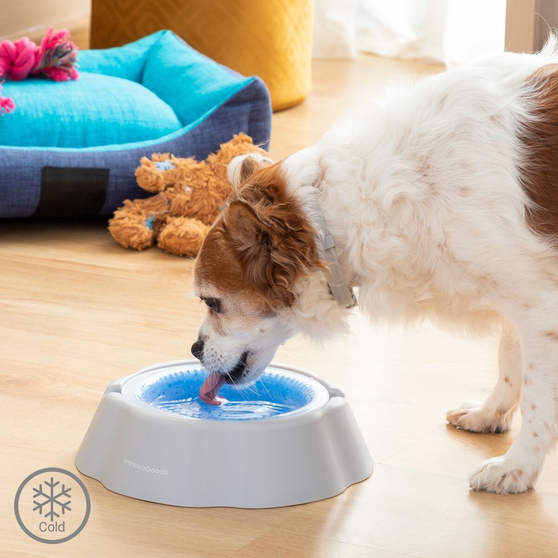 Ciotola Rinfrescante per Animali Domestici Freshty InnovaGoods Ciotola Rinfrescante per Animali Domestici Freshty InnovaGoods