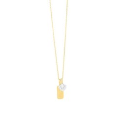 Collana Donna Secrecy P7213CDAWWC93 42 cm