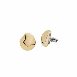Orecchini Donna Skagen SKJ1511710 Acciaio inossidabile