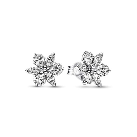 Orecchini Donna Pandora 292633C01