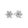 Orecchini Donna Pandora 292633C01