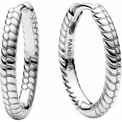 Orecchini Donna Pandora  292728C00