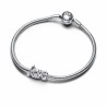 Charm da Donna Pandora 793055C00