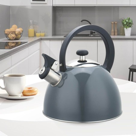 Teiera Feel Maestro MR-1302-GREY Nero Grigio Acciaio inossidabile 2,5 L