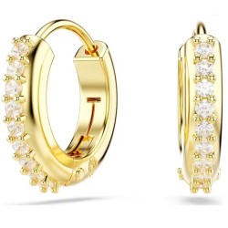 Orecchini Donna Swarovski 5697228 Argento puro 925