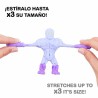 Personaggi d'Azione Colorbaby Stretchapalz