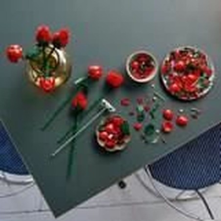 Set di Costruzioni Lego Ramo de Rosas Multicolore