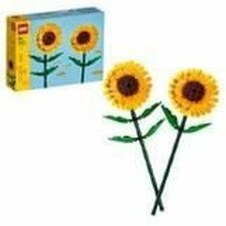 Playset Lego 40524 Multicolore