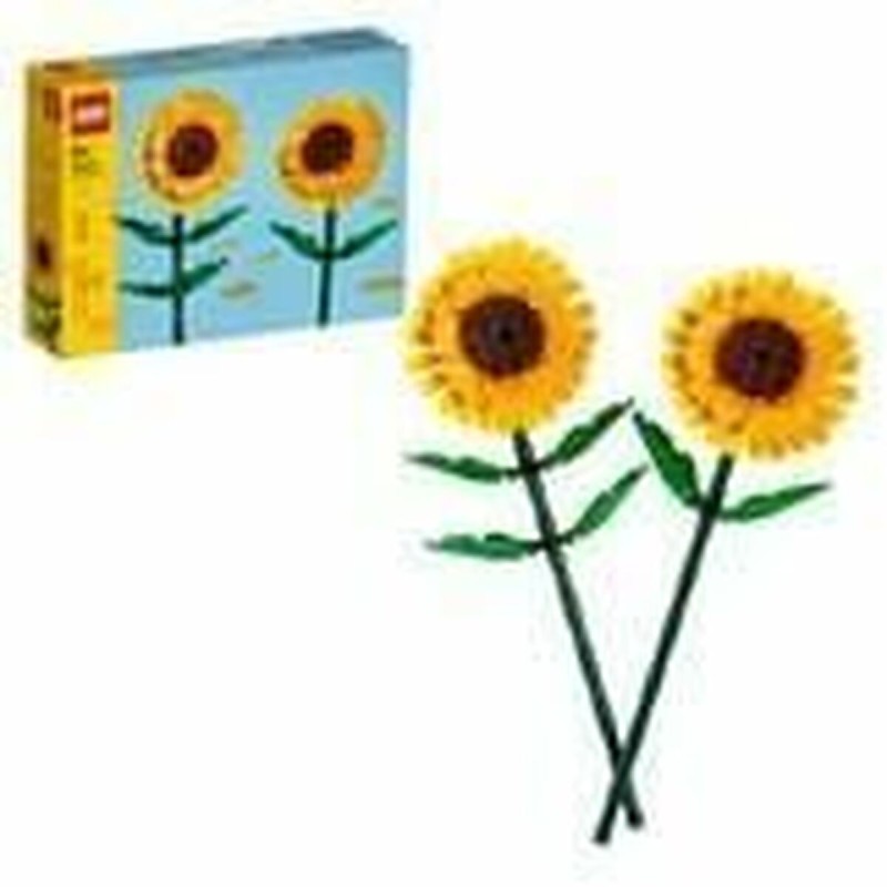 Playset Lego 40524 Multicolore Playset Lego 40524 Multicolore