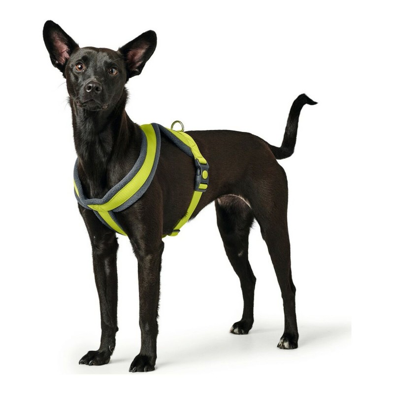 Imbracatura per Cani Hunter London Comfort XS-S 39-47 cm Lime Imbracatura per Cani Hunter London Comfort XS-S 39-47 cm Lime