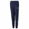 Pantalone di Tuta per Bambini Puma Essential+ Colorblock B Blu scuro