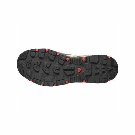 Scarpe da Running per Adulti Salomon Techamphibian 5 Grigio