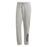 Pantalone di Tuta per Adulti Adidas All Szn Graphic Uomo