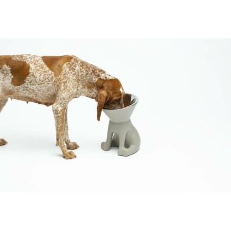 Ciotola per cani United Pets Up Elisabeth Grigio Acciaio inossidabile Polietilene 1 L