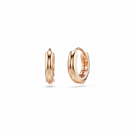 Orecchini Donna Swarovski 5690669