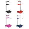 Trolley per Zaino Safta 30 x 85 x 23 cm (12 uds)