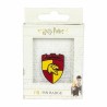 Spilla Harry Potter